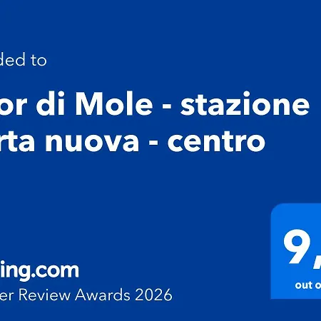 Appartement Cuor Di Mole - Condizionatore - 250 Mt Da Stazione - Centro- Wi-fi Veloce Turijn